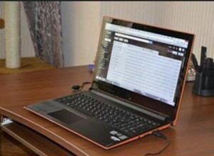 Безработный супруг ставит под угрозу карьеру трудоустроенного