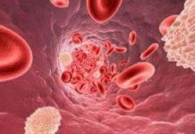 В курении детей виноваты родители