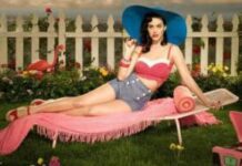 Влияние растений на экологию дома