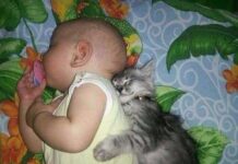 Колыбельная благотворно влияет на недоношенных детей