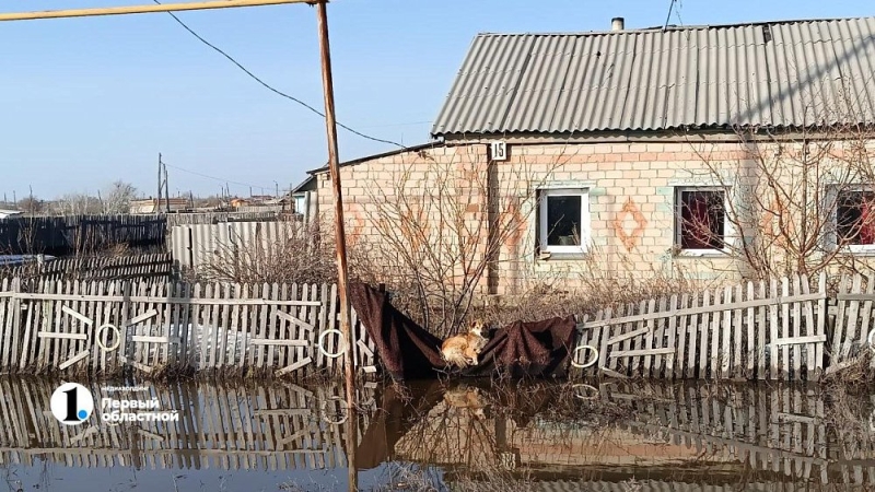 Как жители подтопленных сел Южного Урала справляются с трудностями