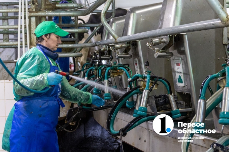 В Челябинской области увеличат поддержку молочных хозяйств