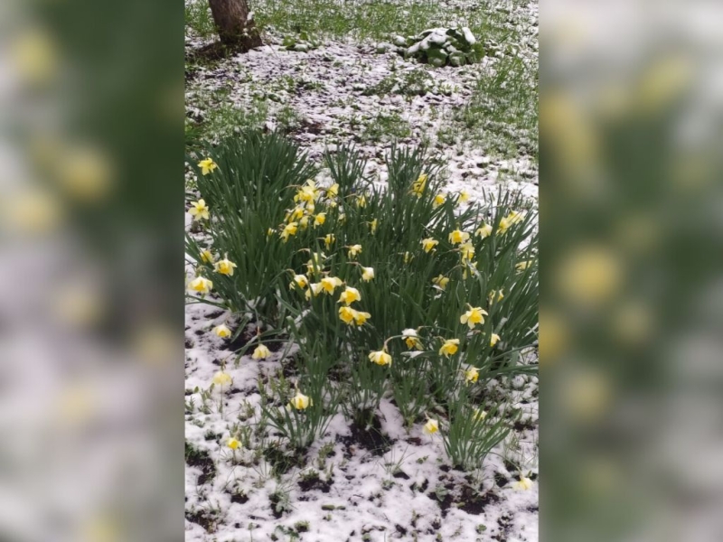 В конце апреля в Челябинской области выпал снег