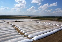 Полимерные рукава для хранения зерна: что это, почему используются