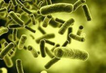 Семейные ссоры повышают риск преждевременной смерти