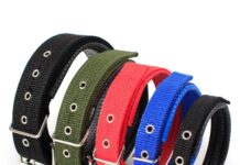 Как правильно выбрать ошейники для собак