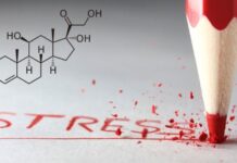 Стресс и гормоны
