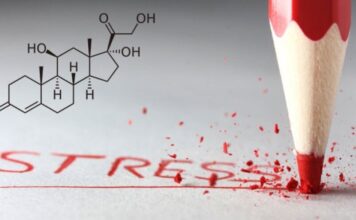 Стресс и гормоны