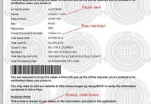 Электронная виза в Сингапур для россиян – как и когда оформляется