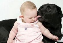 Приучаем малыша к самостоятельному сну