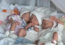 У красивых родителей дочери рождаются чаще, чем у некрасивых