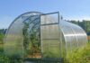 Садовые теплицы из поликарбоната: как получить больше урожая без лишних хлопот