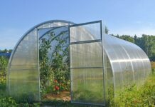 Садовые теплицы из поликарбоната: как получить больше урожая без лишних хлопот