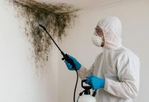 Уничтожение вредоносных микроорганизмов: роль дезинфекции в борьбе с вирусами, грибками и плесенью