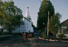 Услуги конного клуба Ямской двор: от обучения до прогулок